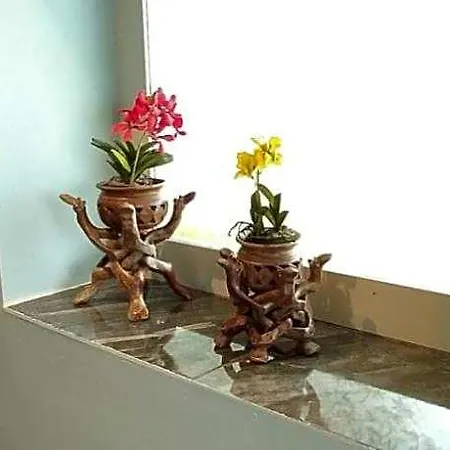 酒店 曼加纳科纳克酒店